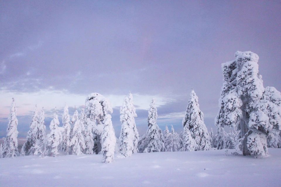 From Rovaniemi: Korouoma Canyon and Frozen Waterfalls Tour - The 5-Kilometer Canyon Hike: Ice, Footing, and Photo Stops That Help