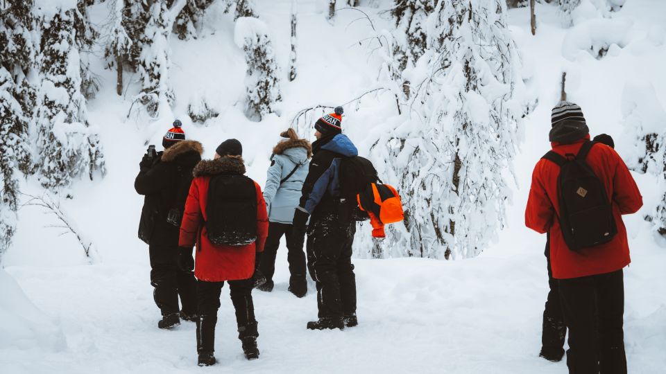 From Rovaniemi: Korouoma Canyon and Frozen Waterfalls Tour - Price and Value: Is $136 Worth It for a 7-Hour Day?
