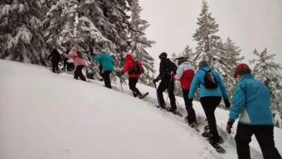 From Rovaniemi: Korouoma Frozen Waterfalls Small-Group Hike - The 6-hour rhythm from Rovaniemi to Korouoma (and back)