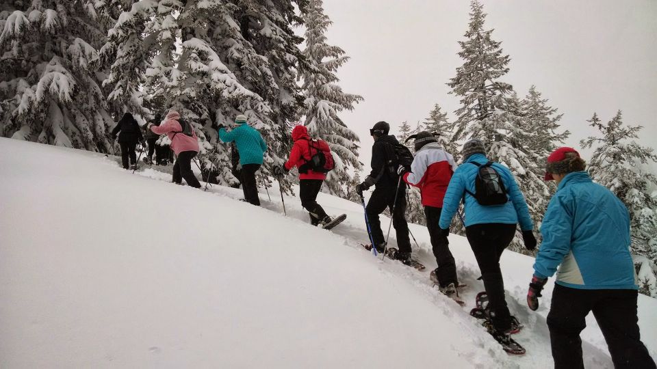From Rovaniemi: Korouoma Frozen Waterfalls Small-Group Hike - The 6-hour rhythm from Rovaniemi to Korouoma (and back)