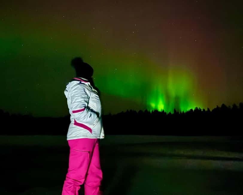 From Rovaniemi: Night Tour in Search of the Aurora with BBQ - Aurora hunting that uses multiple chances (not wishful thinking)