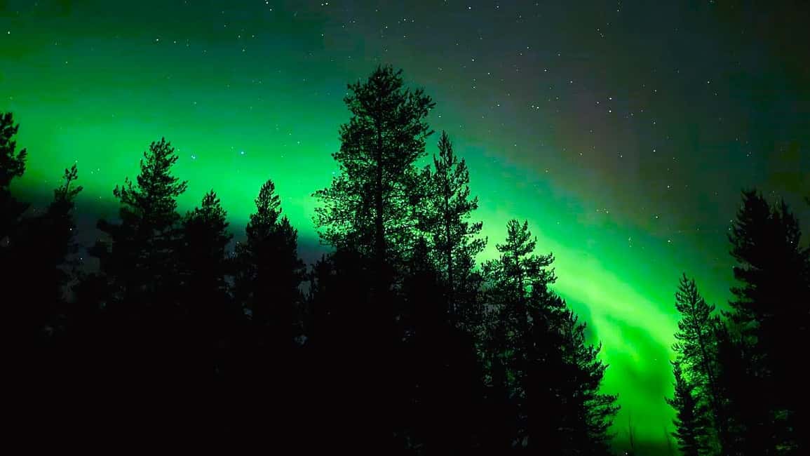 From Rovaniemi: Night Tour in Search of the Aurora with BBQ - Stop 3: The secret stop where the aurora can hit