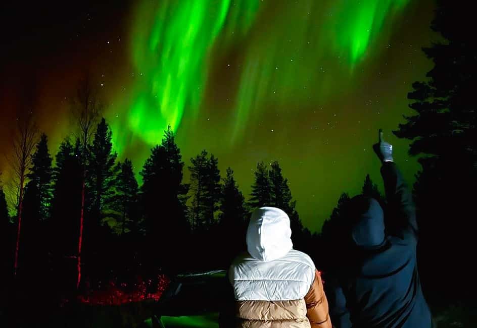 From Rovaniemi: Night Tour in Search of the Aurora with BBQ - Value and pricing: is $85 a fair deal for 3 hours?
