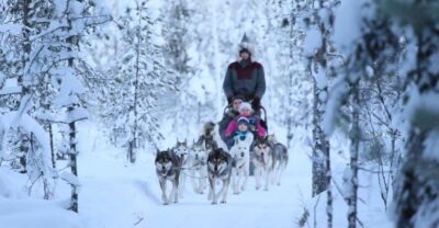 From Rovaniemi: Self-Driven 10km Husky Sled Ride - From Rovaniemi to the kennel: using the drive instead of losing it