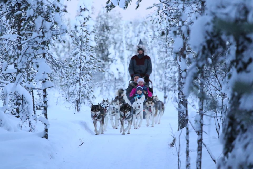From Rovaniemi: Self-Driven 10km Husky Sled Ride - FAQ