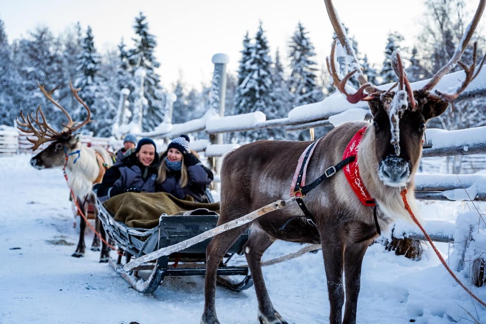 From Rovaniemi: Tour to Santa Claus Village - The practical details that make the day smoother