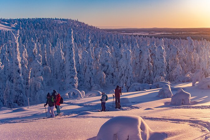 Full-Day Snowshoeing Adventure in Amethyst Mine Pyhä Luosto - Lampivaara amethyst mine: the pendolino ride and the guided story