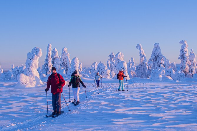 Full-Day Snowshoeing Adventure in Amethyst Mine Pyhä Luosto - The guide experience: friendly, tuned to your group