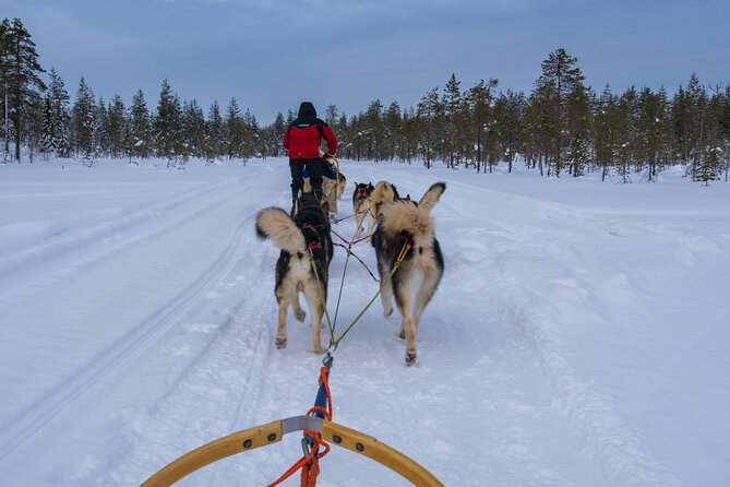 Half-Day Husky Safari and Salmon Ice Fishing Experience - If You Catch One: Smoked on Location or Cook It at Home