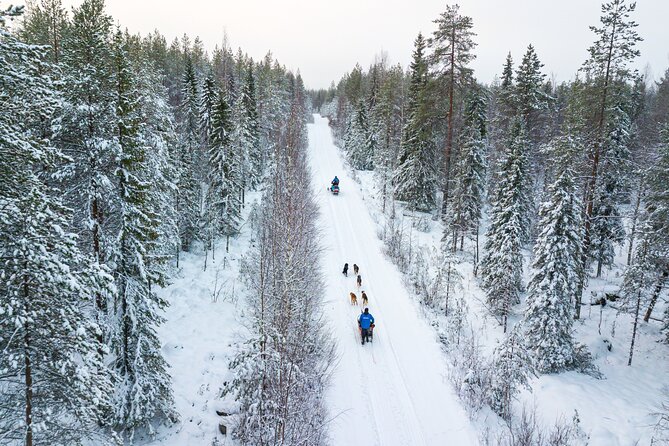 Half-Day Husky Safari and Salmon Ice Fishing Experience - Price and Value at Parpalandia: What $264.91 Really Covers