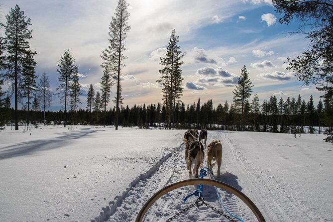 Half-Day Husky Safari and Salmon Ice Fishing Experience - Weather, Cold, and Packing Tips That Actually Help