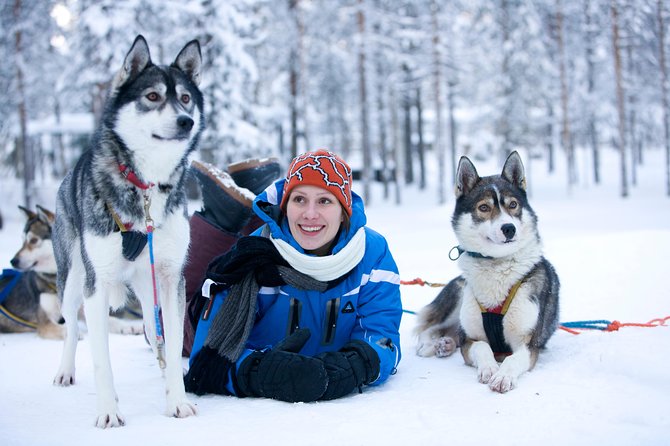 Husky Safari from Rovaniemi Including a Husky Sled Ride - Key Things You’ll Notice on This Husky Safari
