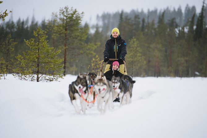Husky Sledding Self-driving in Rovaniemi - Training to take the reins: how self-driving really works