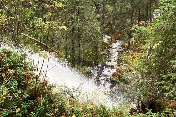 Korouoma Canyon: Frozen Waterfalls Hike & BBQ Experience - Price and value: what you’re actually paying for
