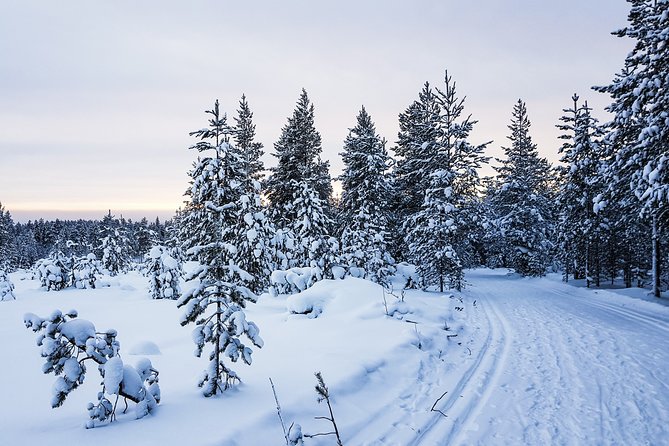 Korouoma Canyon Snowshoe Trip - Fitness reality check: the one drawback to plan around