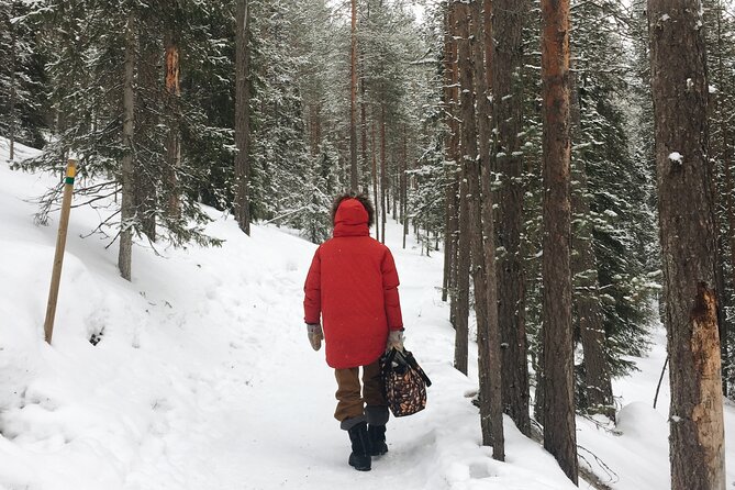 Korouoma national park and frozen waterfalls hiking tour - How hard is it, really? Moderate winter hiking rules