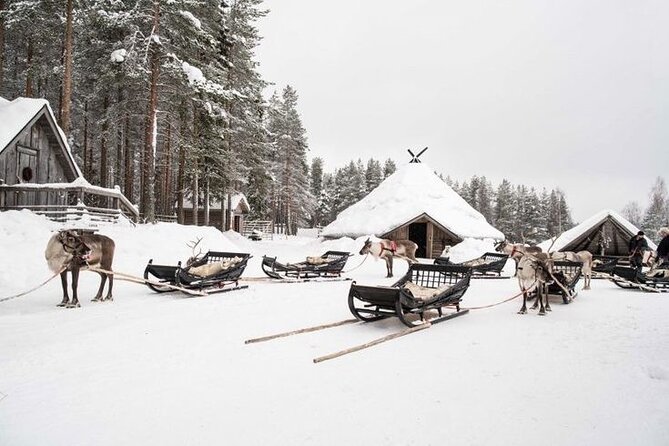 Kuoksa Reindeer Farm Visit with a Short Sleigh Ride - Key Highlights at Kuoksa Reindeer Farm
