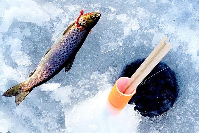 Lakeside Sauna Trip with Ice Fishing and Ice Swimming - The sauna experience: warm up the right way