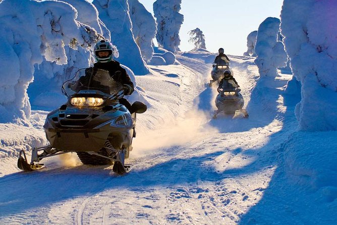 Lapland Family Snowmobile Safari from Rovaniemi - Weather and timing: how snow conditions can change the ride