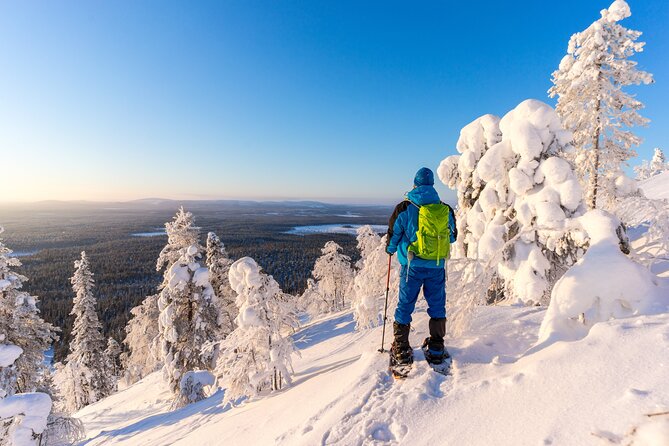 Lapland Ice Fishing Experience from Rovaniemi - Rovaniemi Pickup, Timing, and How to Not Miss the Bus