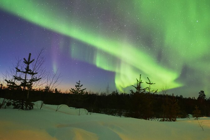 Lapland In A Day - Reindeer, Sledding, Snowmobile & Nature - Winter fun versus Northern Lights hopes