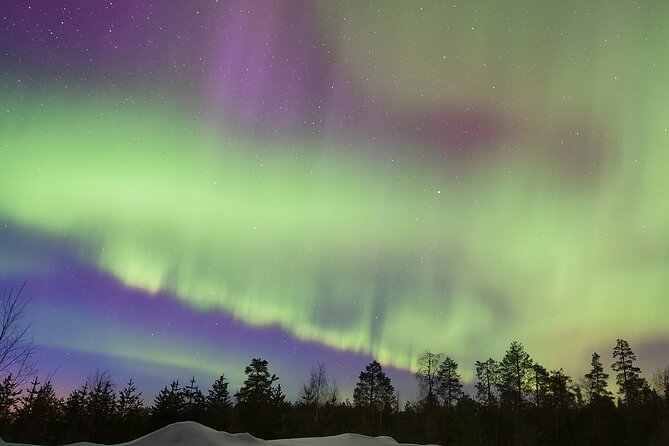 Lapland In A Day - Reindeer, Sledding, Snowmobile & Nature - Price and value: what you’re really paying for