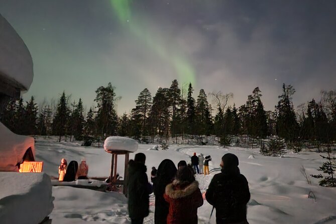 Lapland In A Day - Reindeer, Sledding, Snowmobile & Nature - Weather, cancellations, and what to do if plans wobble