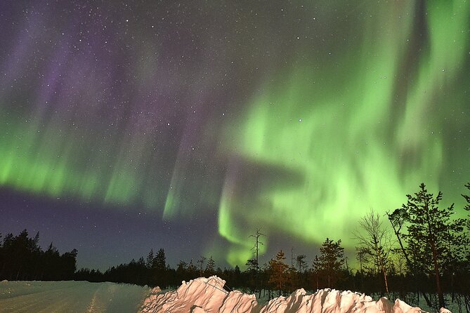 Lapland In A Day - Reindeer, Sledding, Snowmobile & Nature - How to prepare so the day feels easy