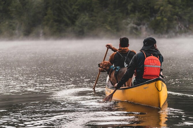 Lapland Kayak Adventure in Rovaniemi - Small Group Size: Why Max 16 Changes the Day