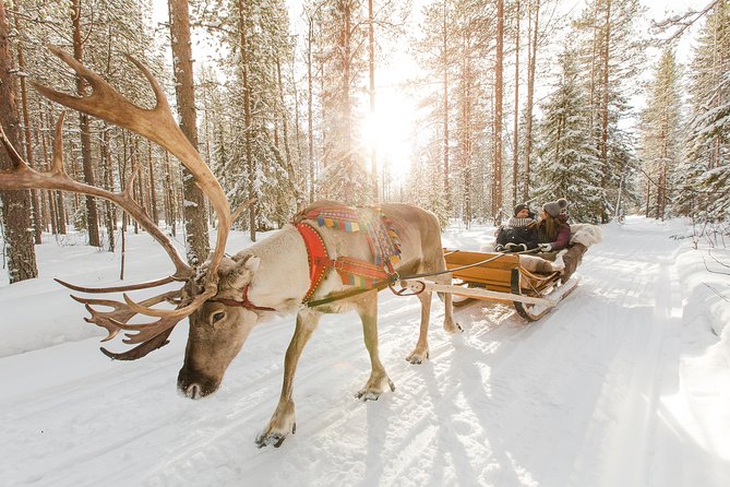 Lapland Reindeer and Husky Safari from Rovaniemi - Key Things That Make This Rovaniemi Safari Work