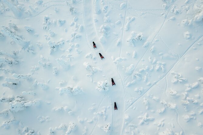 Lappish Lunch Break -Snowmobiling, ice fishing and tasty food - What the 5-hour winter safari really includes