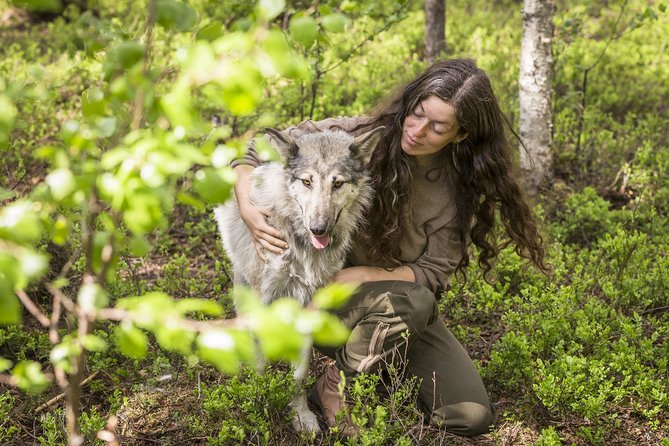 Meet Taivas & the Arctic Wolves - Private Tour - Key things that make this tour worth your time