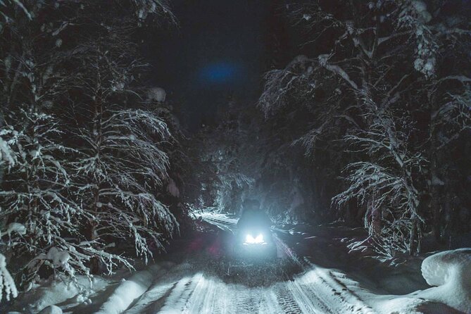 Night Snowmobile Safari, Rovaniemi - Snowmobile Experience: Fun, Controlled, and Actually Safe