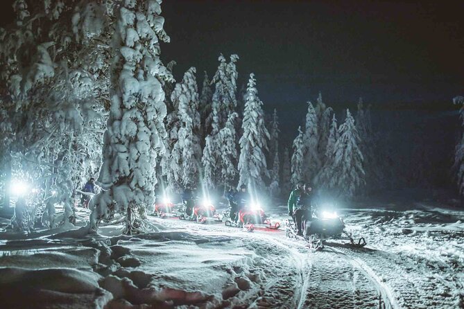 Night Snowmobile Safari, Rovaniemi - Thermal Gear, Bonfire Break, and the Warmth Factor