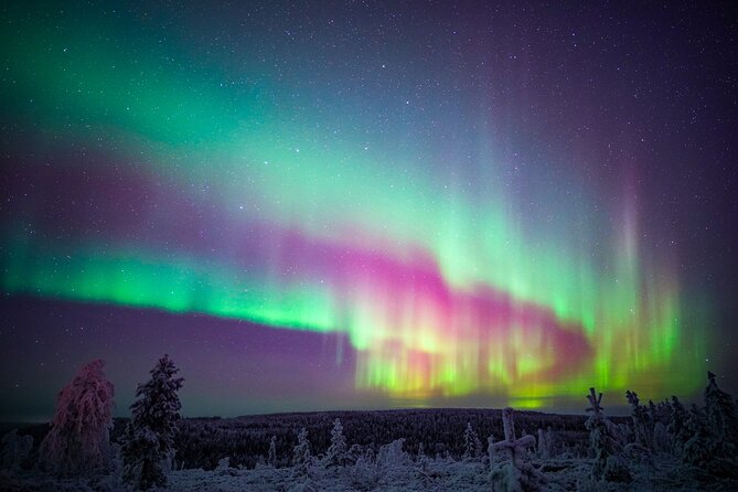 Night Snowshoeing Adventure under the Northern Lights - Northern Lights Reality Check: What to Expect Without the Hype