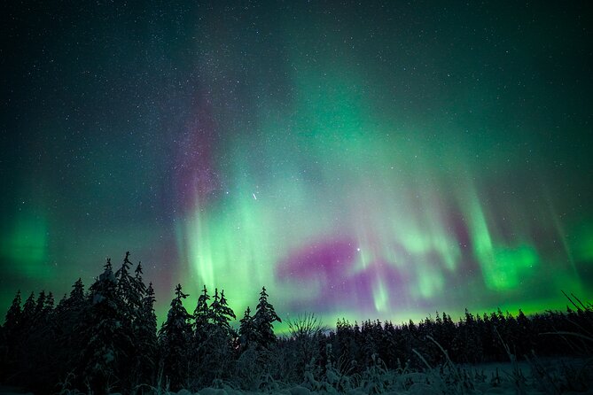 Night Snowshoeing Adventure under the Northern Lights - Logistics That Matter: Meeting Point and Timing