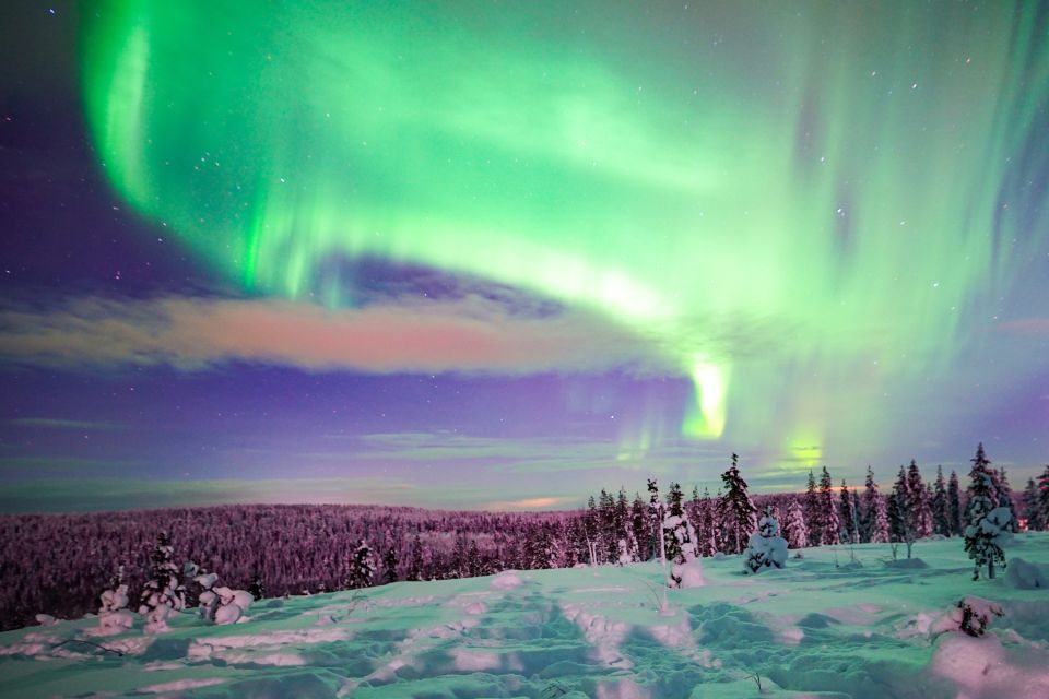 Night Snowshoeing Adventure under the Northern Lights - Who Should Book (and Who Should Skip)