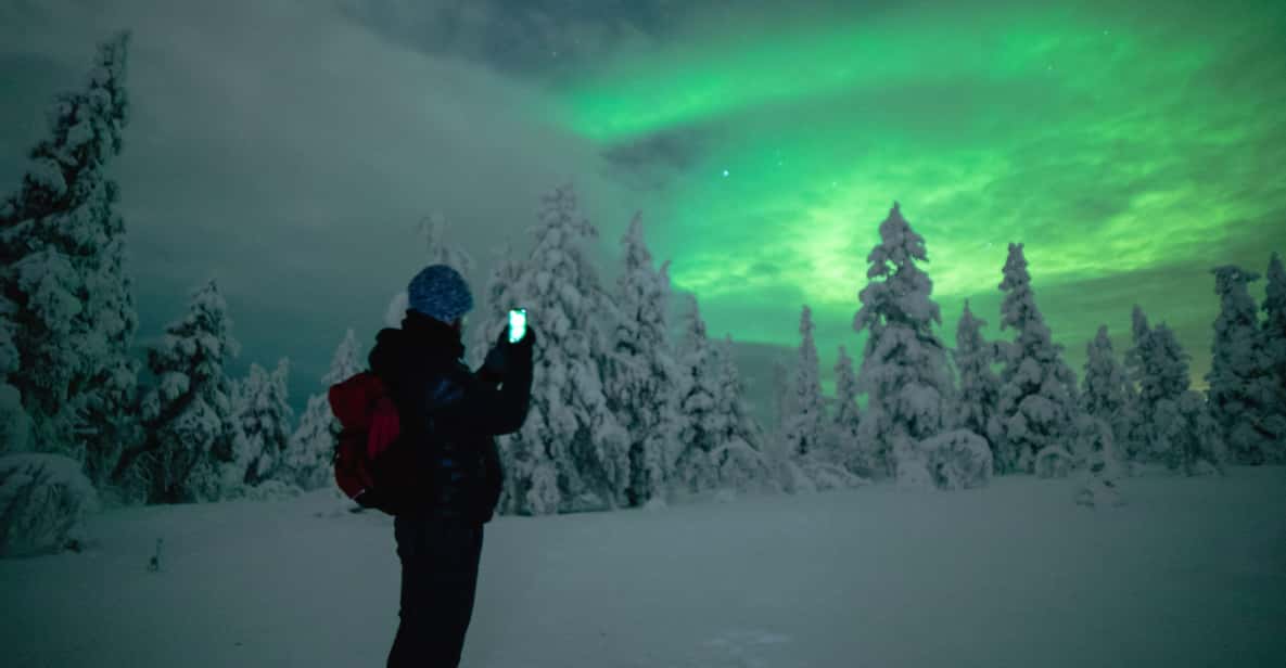 Night Snowshoeing Lapland Experience - Night snowshoeing in Rovaniemi: what it feels like when the sky is alive