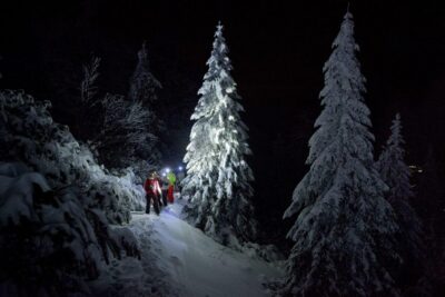Night Snowshoeing Lapland Experience - The 3-hour timing: pace, mood, and what you should expect