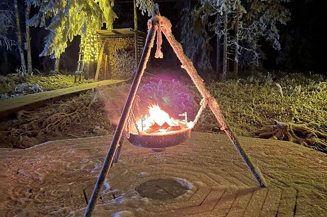 Northern Lights dinner in a Glass Igloo - Private experience feel: pickup from anywhere in Rovaniemi helps