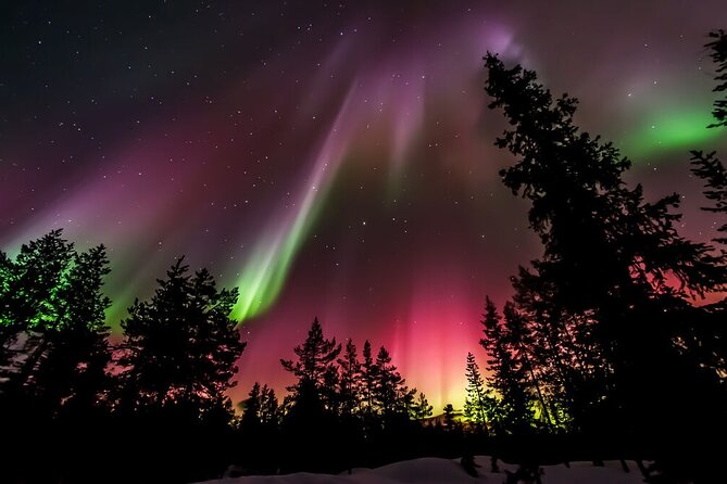 Northern Lights Hunt from Rovaniemi with Folk Tales and Snacks over Campfire - Folk tales about the aurora: more than a science lecture