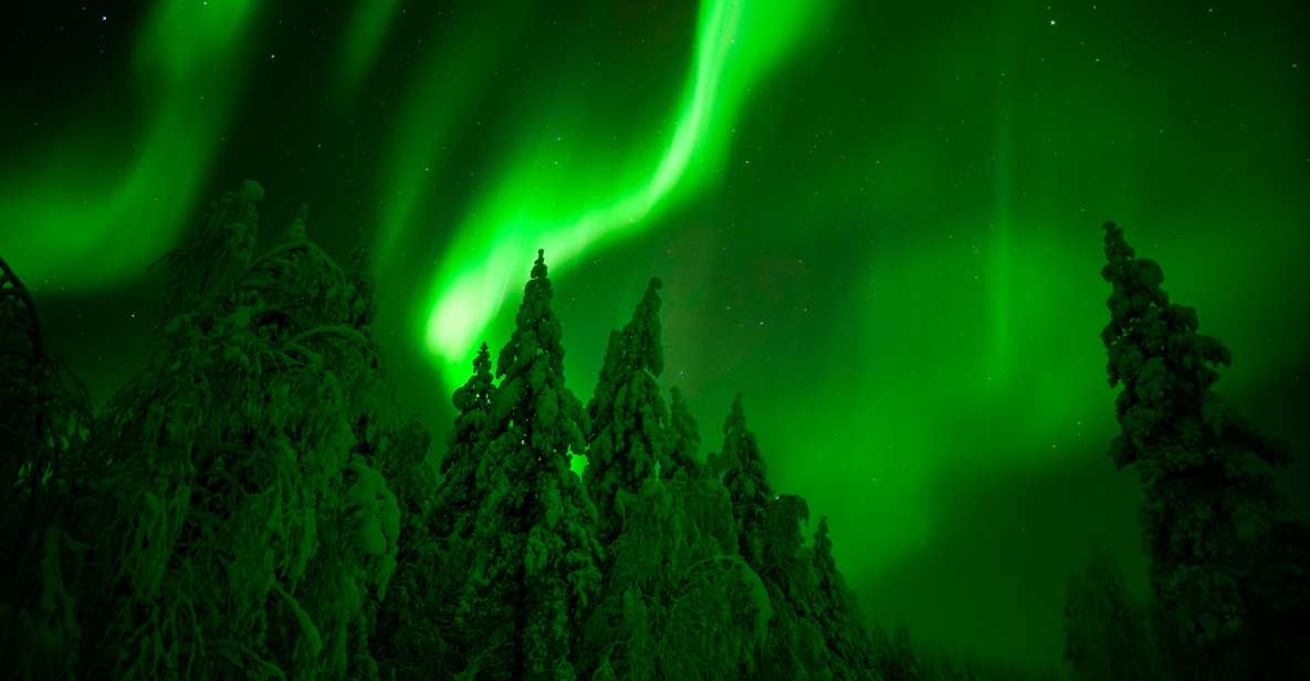 Northern Lights Hunting Adventure in Lapland - The 7-hour flow: how the night usually plays out