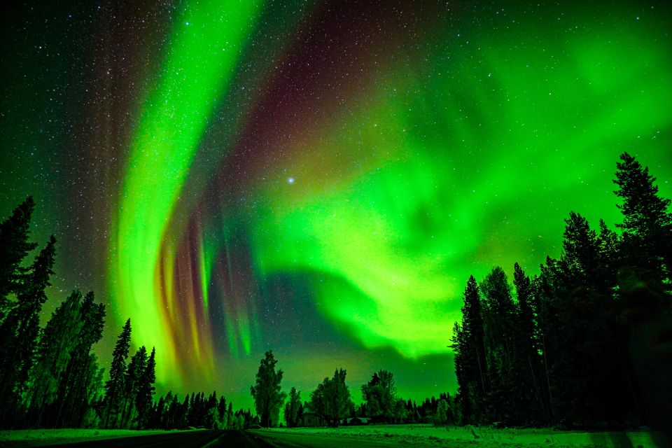Northern Lights Hunting Adventure in Lapland - Clothing, cold, and comfort: what -30°C means for you