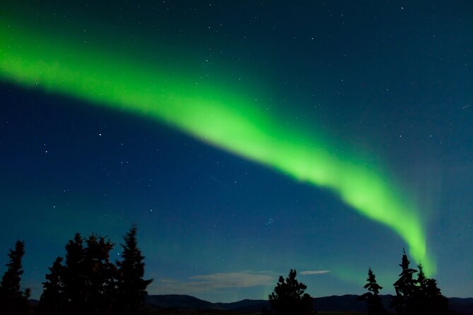 Northern Lights Hunting of Rovaniemi - Rovaniemi Aurora Hunting Starts at 8:00 pm: What That Timing Means