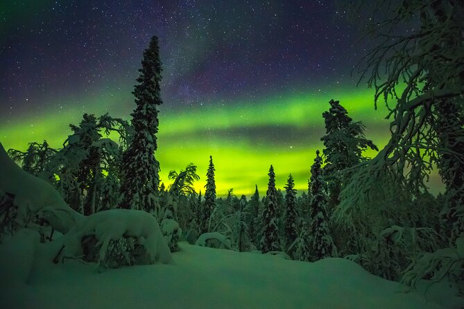 Northern Lights Hunting of Rovaniemi - Price and Value: Is $89.36 Worth It?