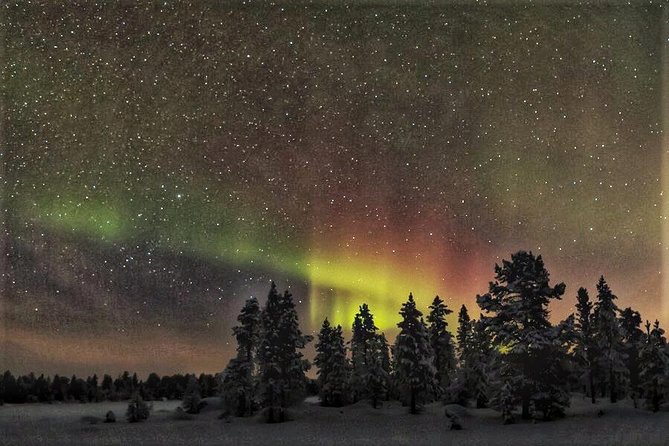 Northern Lights Hunting with Snowmobiles - What you’re paying for: the value behind the $160.91 price