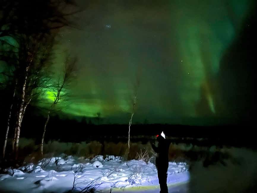 Northern lights private tour Rovaniemi - The Route in Plain English: Pickup, Photo Stop, Walk, and Snack Breaks