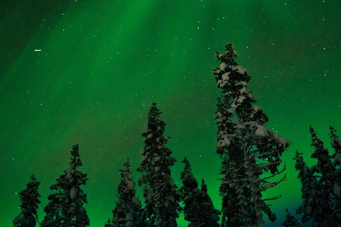 Northern lights Reindeer Sledge Ride - The 3-Hour Timeline: What You’ll Actually Do Between 7:00 pm and the End