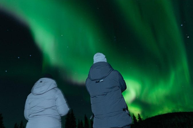 Northern Lights Rovaniemi: Guaranteed Tour with Local Guide - Should you book: who this guaranteed aurora hunt suits best