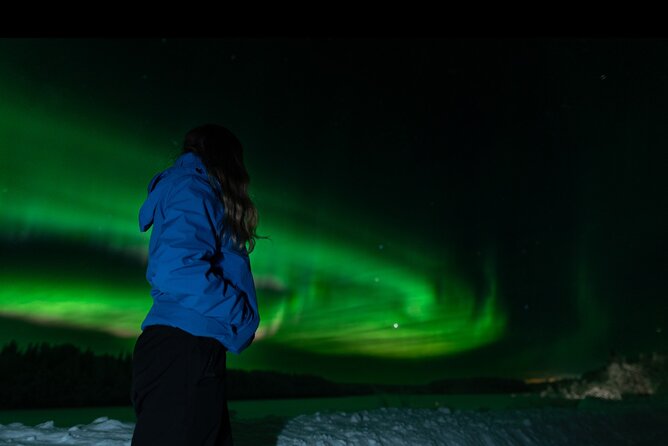 Northern Lights Rovaniemi: Guaranteed Tour with Local Guide - How pickup, group size, and timing affect your comfort